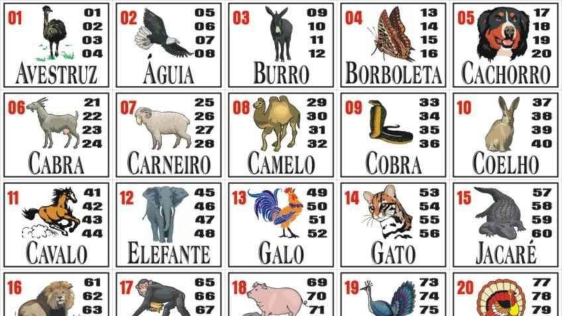 O jogo do bicho vai deixar de ser crime?